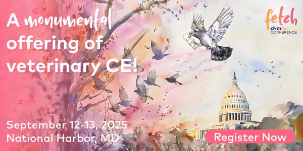 Fetch National Harbor 2025 Conference On-Demand