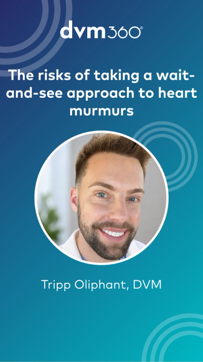 The risks of taking a wait-and-see approach to heart murmurs