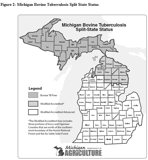 Bovine Tuberculosis In Michigan (Proceedings)