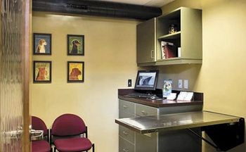 veterinary-hafen-smallexamroom-original-450.jpg