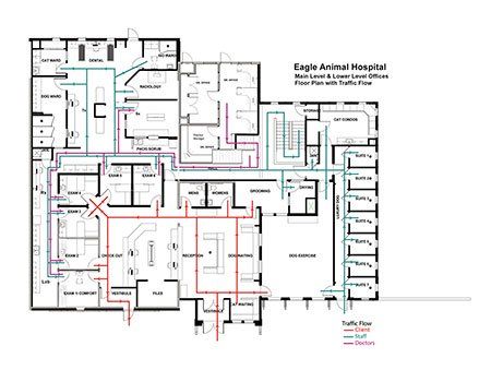 Large Animal Vet Clinic Floor Plans | Floor Roma