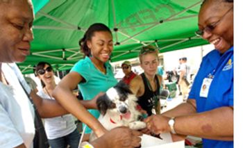 DVM_veterinarynews_pet_transport_flash.s-int-547531-1384673731820.jpg
