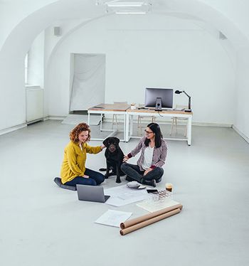 Veterinary-dog-women-work-office-AdobeStock_267604576_450.jpg