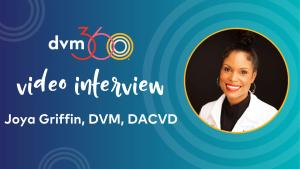 A veterinary dermatologist discusses pruritus and her upcoming keynote at Fetch Charlotte