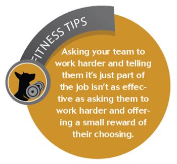 Fitness-Tips1-809113-1382854072022.jpg
