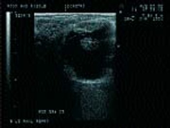 image1-80312-1384840026065.jpg