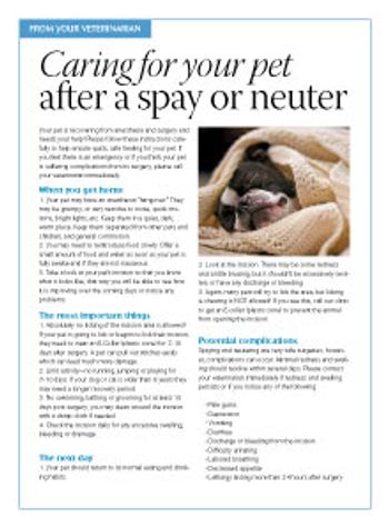 handout-after-spay-neuter-220.jpg