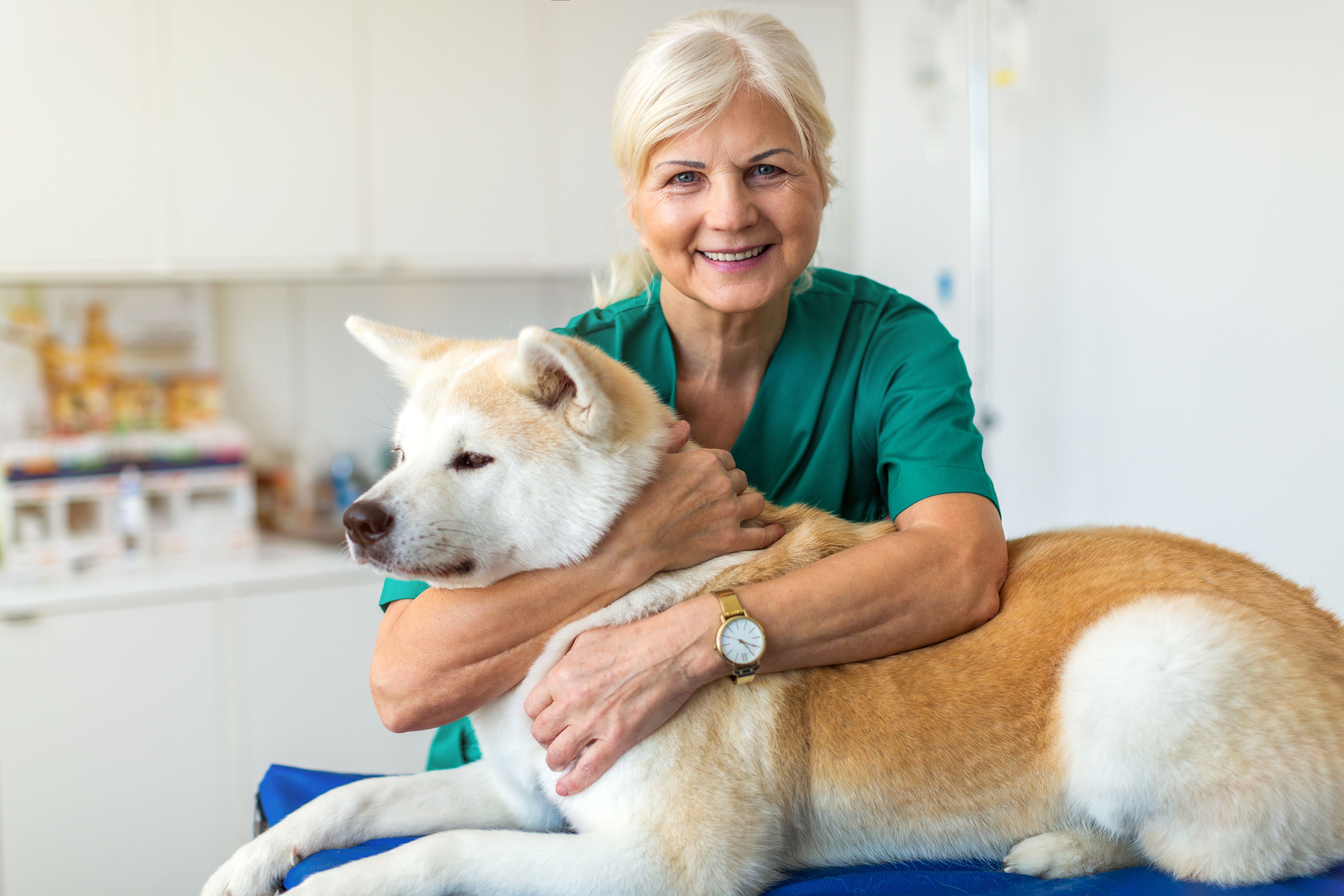 Does Petsmart Vet Take Walk Ins