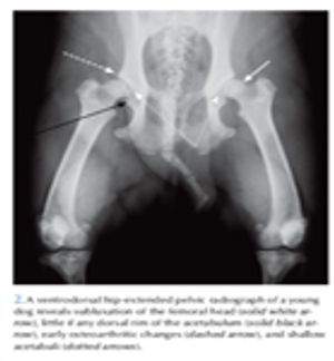 2-xRay-569656-1384531972067.jpg