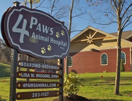 Photo gallery: 28 veterinary hospital signs to survey