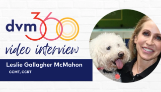How laser therapy can be effective in pain management