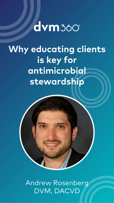 Why educating clients is key for antimicrobial stewardship
