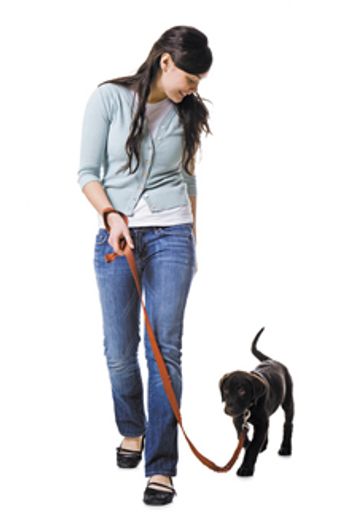 veterinary_client_puppy_220px_83608119.jpg