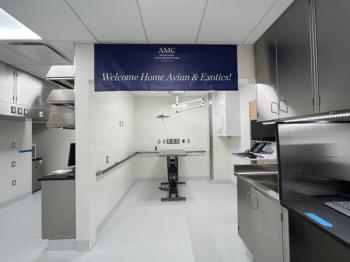 Photo courtesy of Schwarzman Animal Medical Center