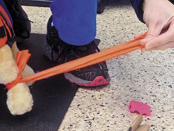 Veterinary_image1_220px.jpg