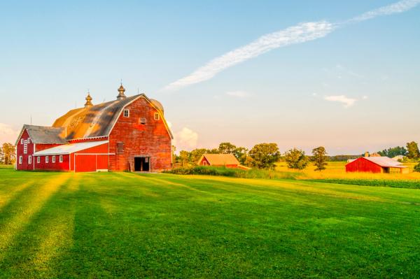 Photo: Matt/Adobe Stock