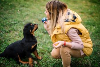 young woman playing with dog