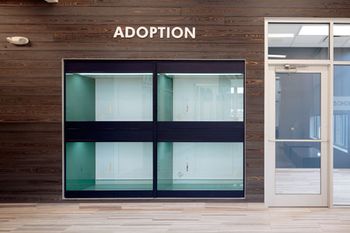 CoyneVeterinaryCenterCrownPoint_Adoption
