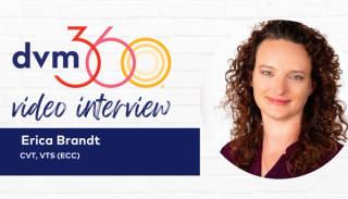 A technician's role in the operating room and beyond