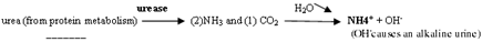 i1_t-675299-1384276358251.gif