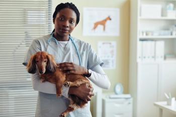 Veterinarian