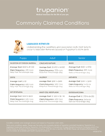 CommonlyClaimedConditions_Flyers_page1-450.jpg