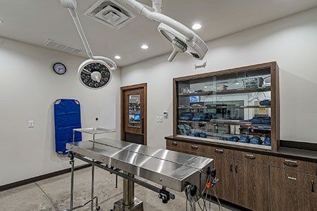 2019 Dvm360 Hospital Design Competition People S Choice Award Winner El Paso Animal Hospital