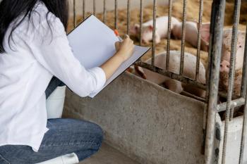 Veterinary student research fellowships