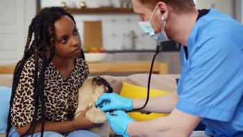 pet owner and doctor 
