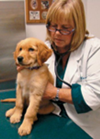 Morris-Animal-Foundation-cancer-study-841165-1404210023856.jpg