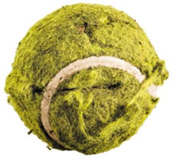 tennisball.jpg