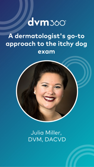 A dermatologist's go-to approach to the itchy dog exam