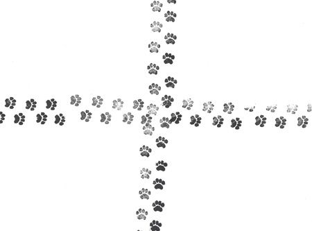Paw_prints_stamp_450.jpg