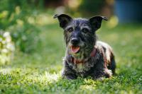 Elevating end-of-life care