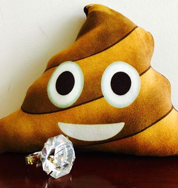 poop450.jpg