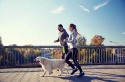 Relief Rover announces the second annual clinic to 5K virtual race supporting veterinary wellness