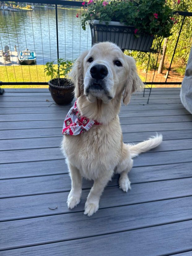 Sawyer