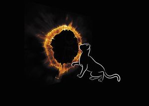 veterinary-ring-of-fire-on-black-background-450px-shutterstock-165621557.jpg