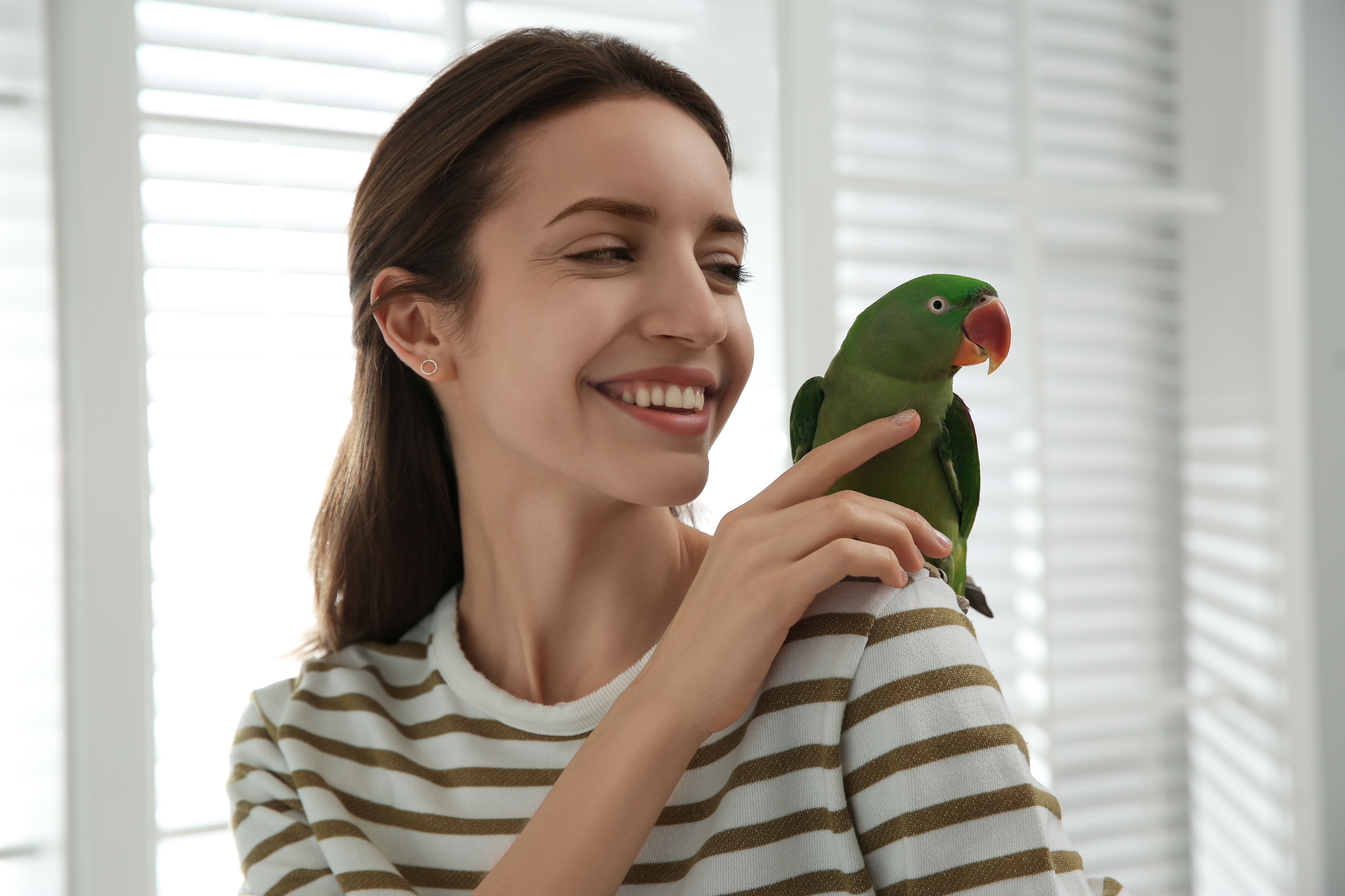 Petco extends health and wellness plan to birds, fish, reptiles, and more