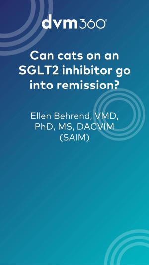Can cats on an SGLT2 inhibitor go into remission?