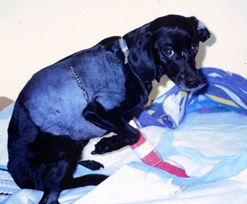 Thoracotomy-pain_450.jpg