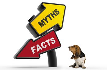 veterinary-person-and-directional-sign-shutterstock_169856147_450.jpg