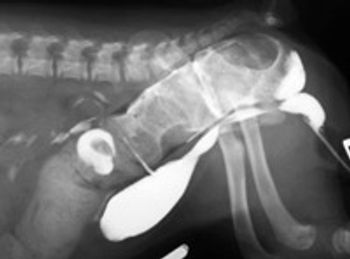 March-SA-SurgerySTAT-Photo-3-658805-1384327713385.jpg
