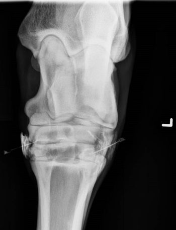 Tartarniuk_SurgSTAT_Figure-1A_450.jpg
