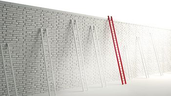 veterinary-ladder-over-a-wall-450px-shutterstock-470903603-1.jpg