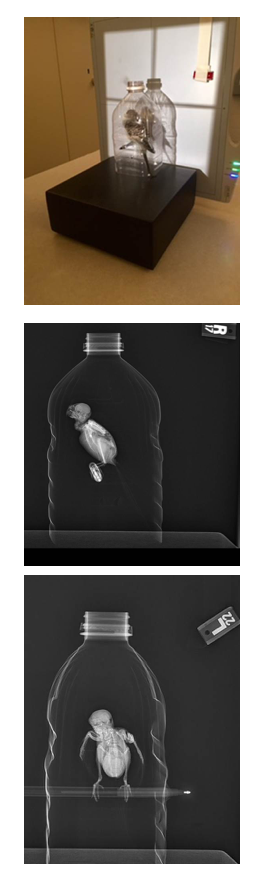 Purdue 2017: Practical Tips for Avian Radiography