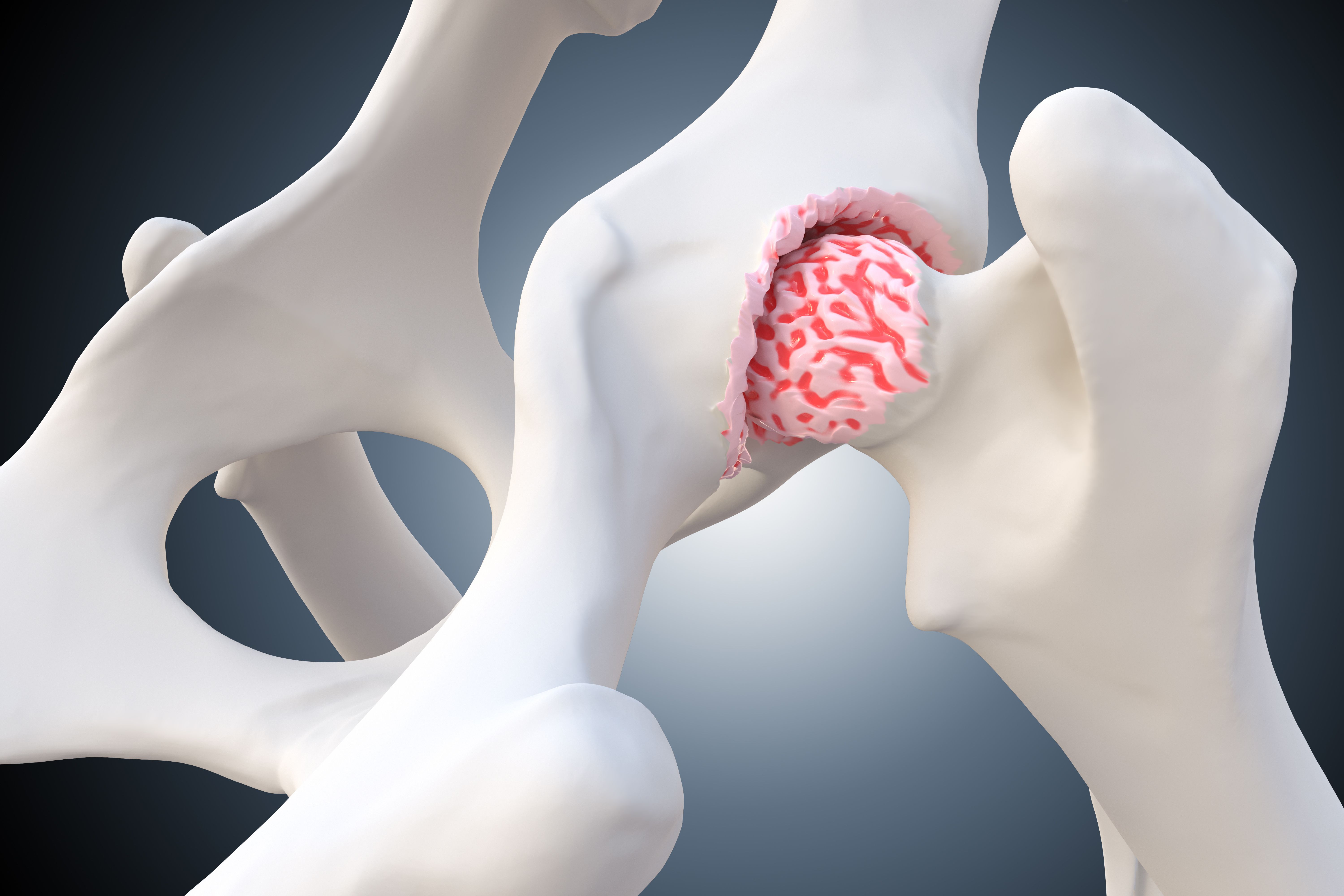 Canine osteoarthritis and joint inflammation