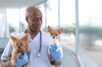 Retaining top veterinary talent