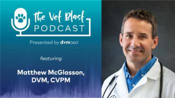 5 feline exam tips for new graduates