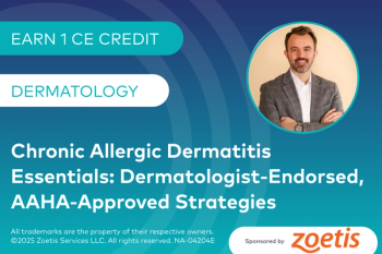 Chronic Allergic Dermatitis Essentials: Dermatologist-Endorsed, AAHA-Approved Strategies
